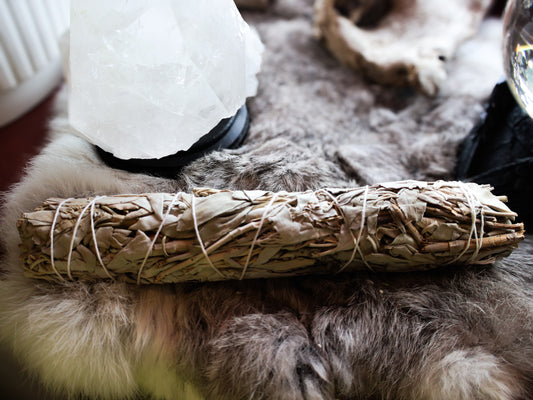 9” White Sage Bundle