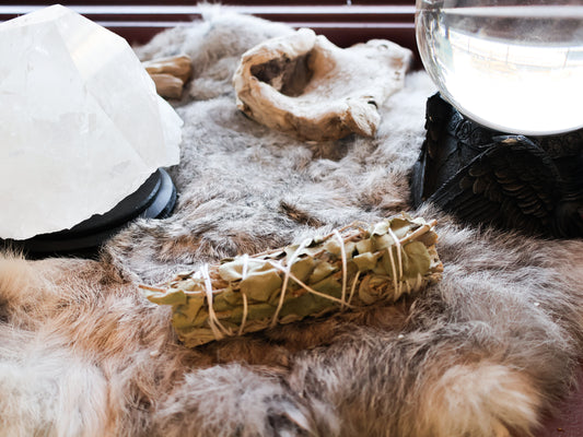 6” white sage and eucalyptus