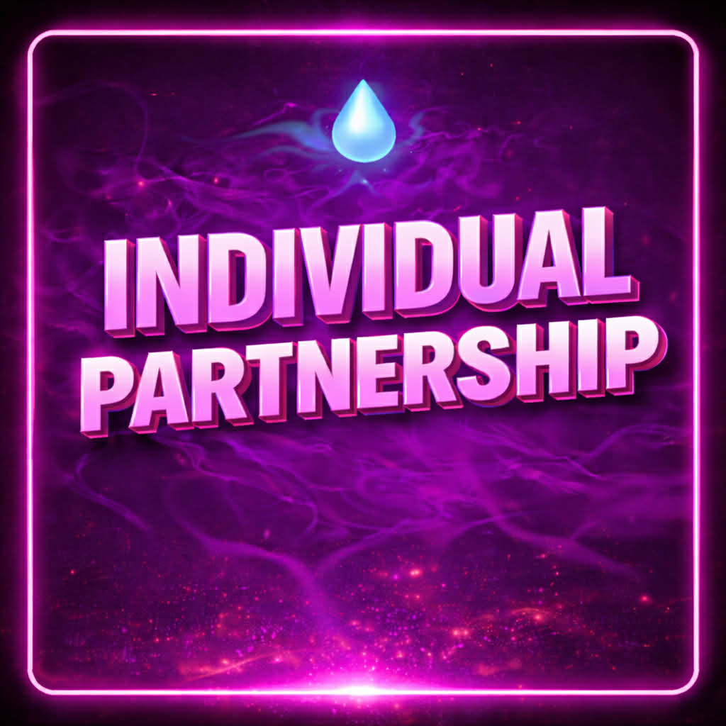 Individual Partnership